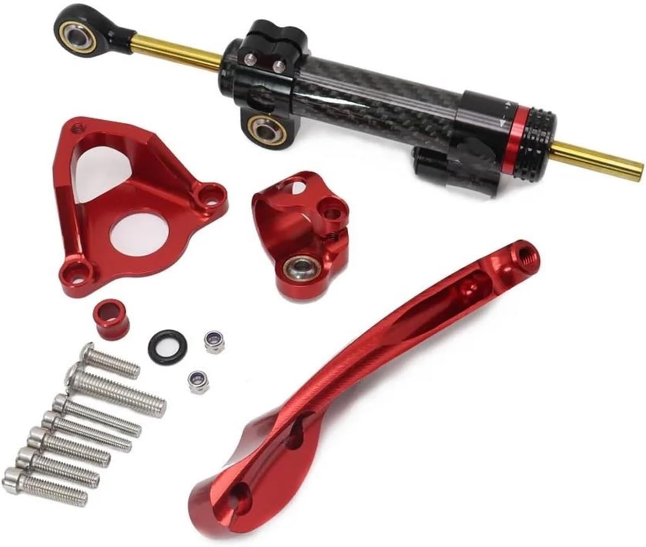 マウントキット Ducati Monster 1100 1100S 2008年以降用 モーター